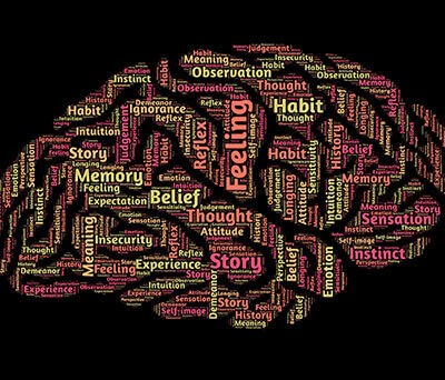 Brain and alcohol