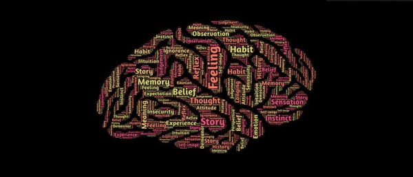 Brain and alcohol